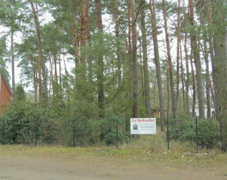 Michendorf Raus aus der Stadt, rein ins Glück - Michendorf - Bergheide wartet Grundstück kaufen