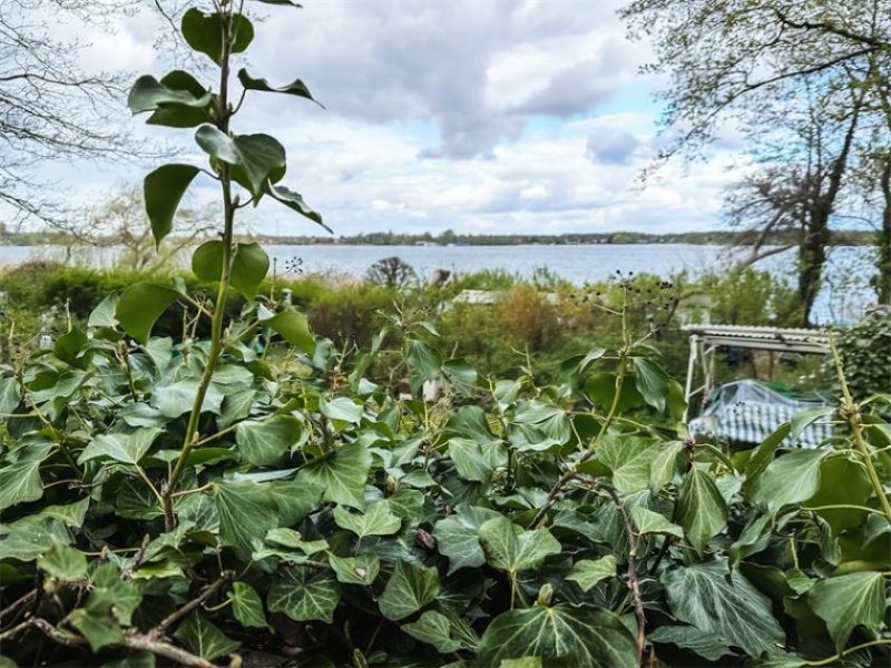 Brandenburg an der Havel Wassergrundstück am Wusterwitzer See in Ruhiglage Haus kaufen
