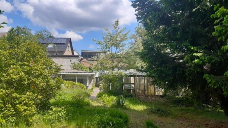 Belzig Haus mit Nebengelass und schönem Garten unweit des Bad Belziger Stadtkerns Haus kaufen