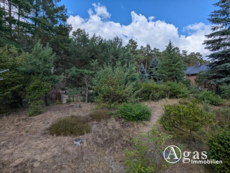 Borkheide Vollvermietetes Mehrfamilienhaus mit 3 Wohneinheiten in Borkheide Haus kaufen