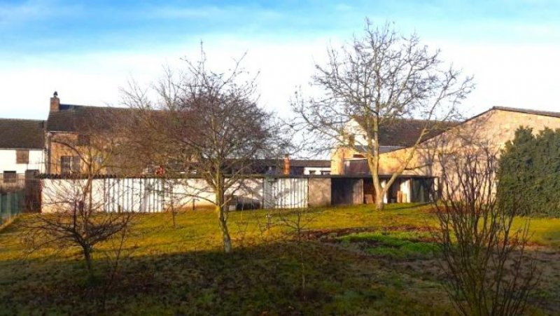 Brück Gepflegtes, sofort beziehbares EFH mit Garage und großem Garten Haus kaufen