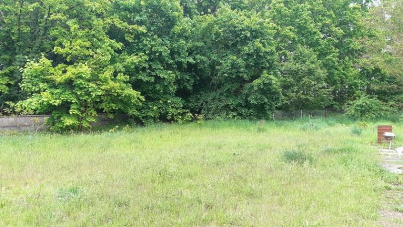 Brück Großes Baugrundstück in einer Nebenstraße Grundstück kaufen