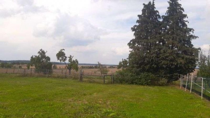 Wiesenburg/Mark Ihr Bauernhof im Fläming – gelegen in einer ruhigen Ortslage Haus kaufen