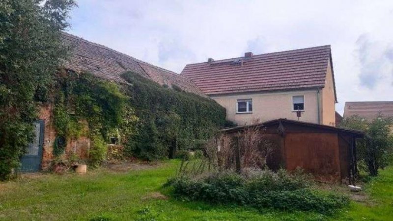 Wiesenburg/Mark Ihr Bauernhof im Fläming – gelegen in einer ruhigen Ortslage Haus kaufen