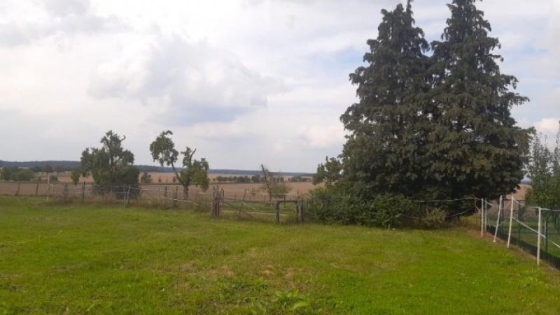 Wiesenburg/Mark Ihr Bauernhof im Fläming – gelegen in einer ruhigen Ortslage Haus kaufen