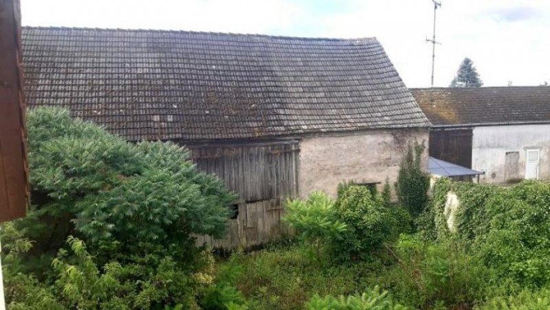 Wiesenburg/Mark Individuelles Wohnen im Hohen Fläming Haus kaufen