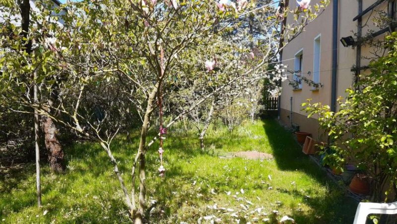 Wiesenburg/Mark Schönes EFH mit Garten und Einliegerwohnung im Nebengelass Haus kaufen