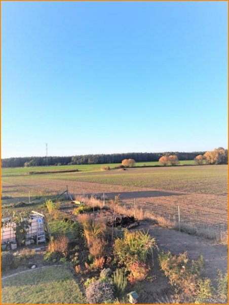 Nuthe-Urstromtal Ökologisch BAUEN mit NATUR Weitblick **RUHIGLAGE** Modul oder Stein auf Stein zum glücklich sein Haus kaufen