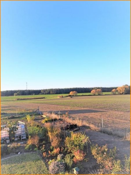 Nuthe-Urstromtal Ökologisch BAUEN mit NATUR Weitblick **RUHIGLAGE** Modul oder Stein auf Stein zum glücklich sein Haus kaufen