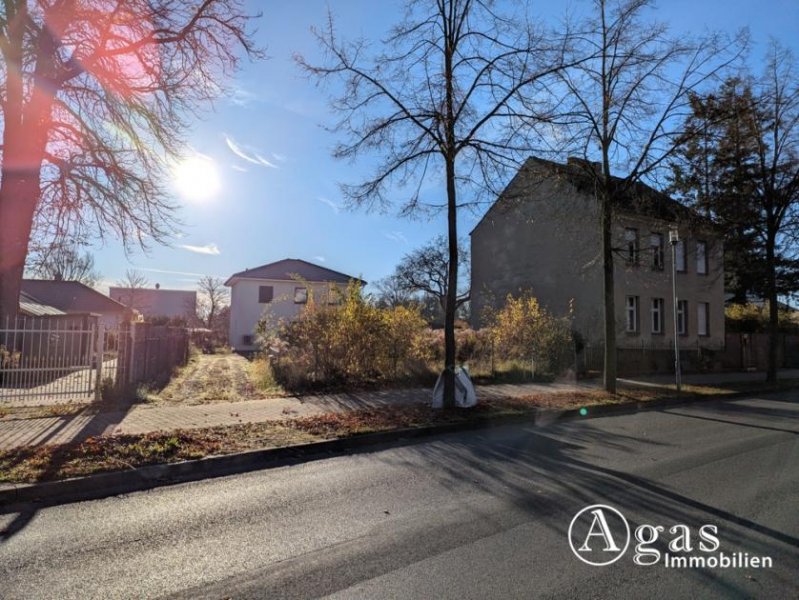 Birkenhain bauträgerfreies Grundstück in erster Reihe im gefragten Großbeeren Grundstück kaufen