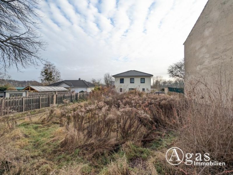 Birkenhain bauträgerfreies Grundstück in erster Reihe im gefragten Großbeeren Grundstück kaufen