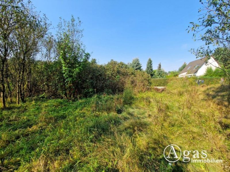 Groß Lindow Bauträgerfreies Traumgrundstück mit ca. 1.000 m² in ruhiger Lage von Groß Lindow Grundstück kaufen