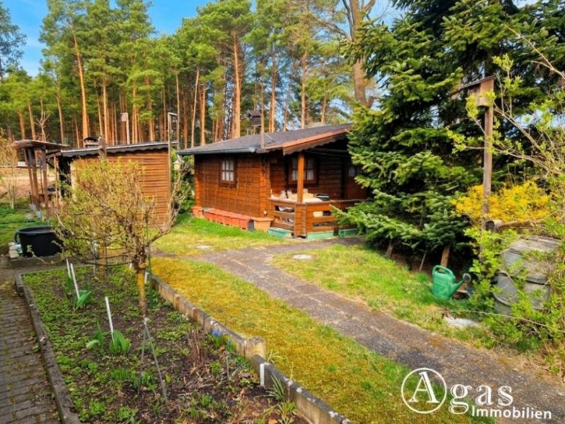 Groß Lindow Erholung pur: Freizeitbungalow mit Holzblockhaus in Bungalowsiedlung und Kanalblick Haus kaufen