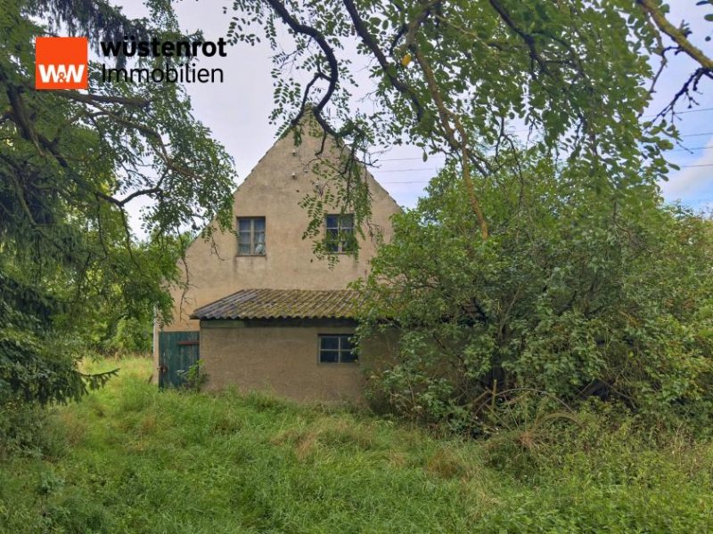 Vierlinden Vierlinden: Weitläufiges Grundstück mit 4.800 m² Fläche zur neuen Bebauung Grundstück kaufen