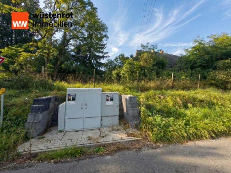 Vierlinden Vierlinden: Weitläufiges Grundstück mit 4.800 m² Fläche zur neuen Bebauung Grundstück kaufen