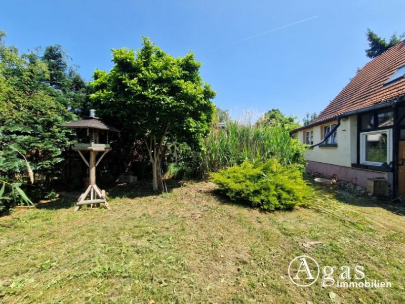 Zeschdorf Modernisiertes Einfamilienhaus auf großem Grundstück in Ortsrandlage Haus kaufen