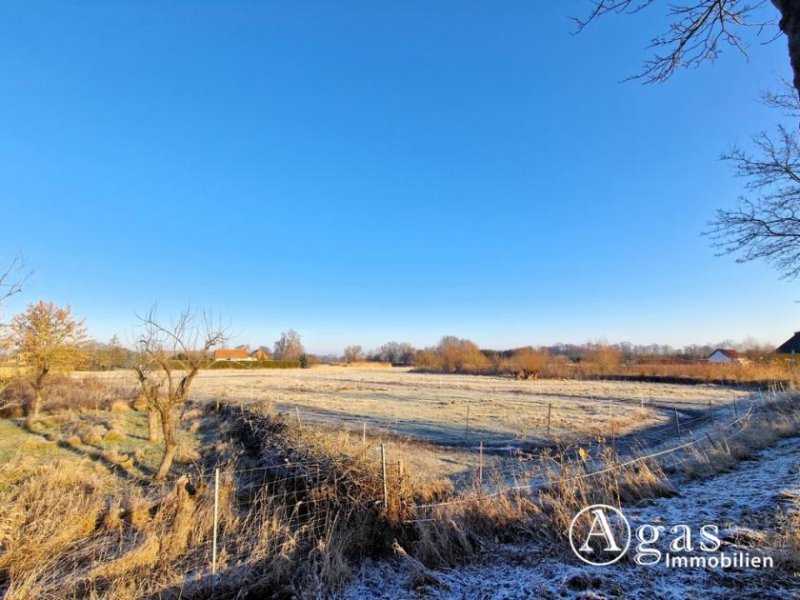 Küstriner Vorland Modernisiertes Landhaus mit Scheune und Nebengebäuden auf fast 2 Hektar großem Grundstück Haus kaufen
