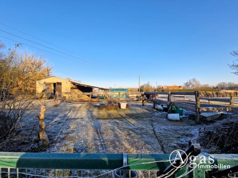 Küstriner Vorland Modernisiertes Landhaus mit Scheune und Nebengebäuden auf fast 2 Hektar großem Grundstück Haus kaufen