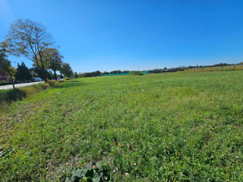 Küstriner Vorland Prov.-frei: Baugrundstück Grundstück kaufen