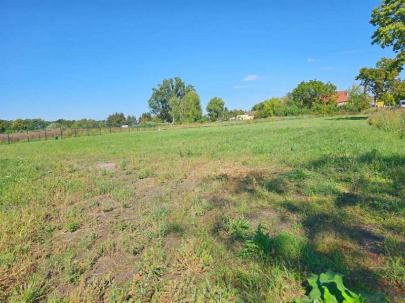 Küstriner Vorland Prov.-frei: Baugrundstück Grundstück kaufen