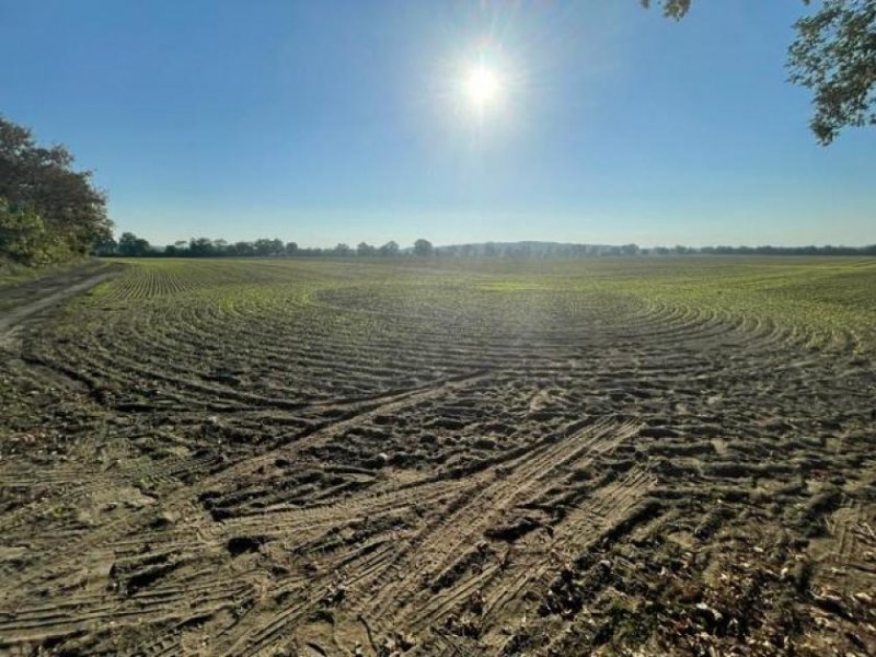 Strausberg Entwicklungsgrundstücke vor den Toren Berlins Grundstück kaufen