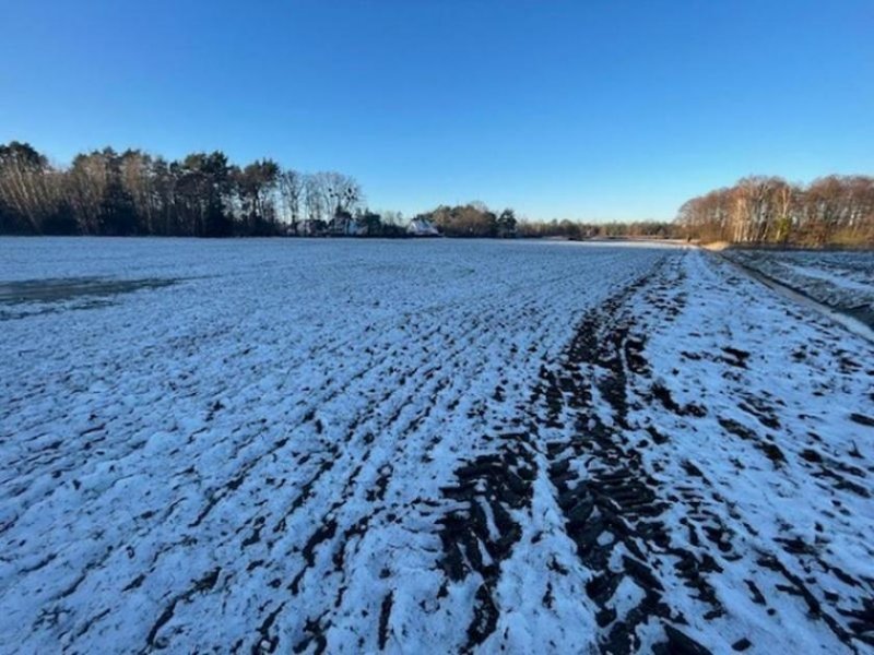 Altlandsberg Investition in die Zukunft: Entwicklungsgrundstück vor den Toren der Hauptstadt Grundstück kaufen