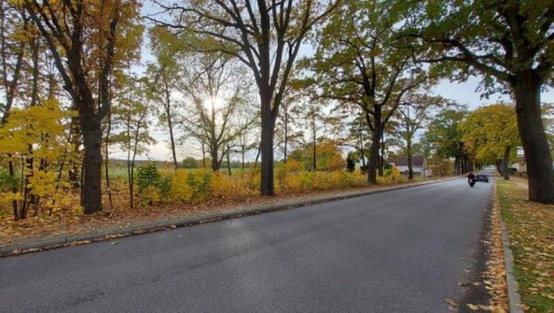 Hennickendorf Prov.-frei: Herzfelde! Unverbaubarer Blick in die Landschaft Grundstück kaufen