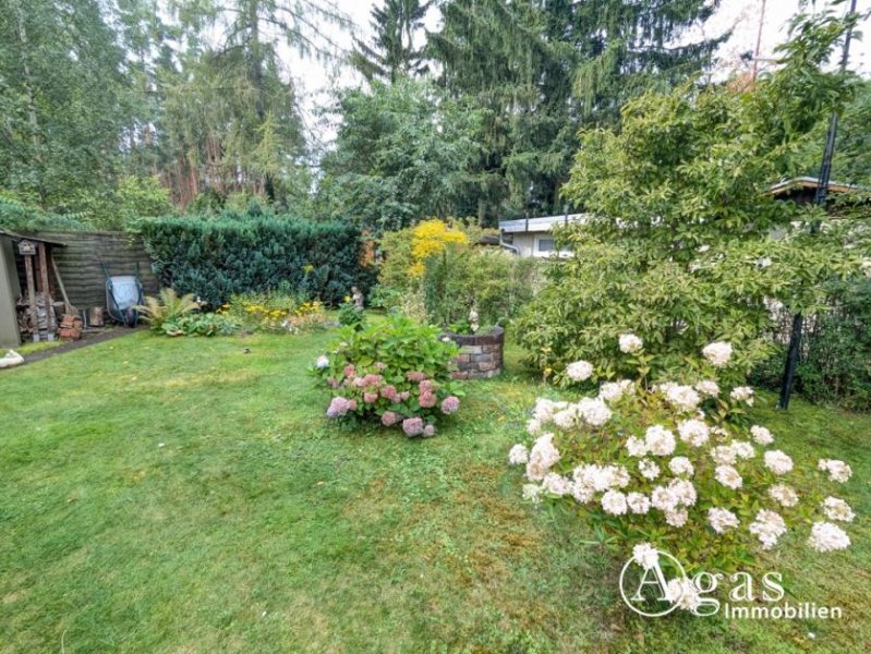 Briesen (Mark) Ferienidyll auf Eigentumsland am Kersdorfer See Haus kaufen