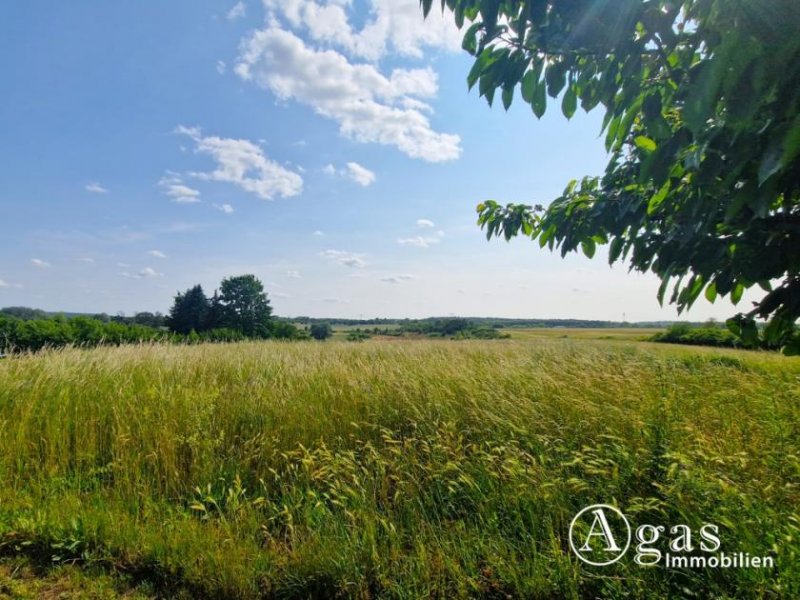 Rüdersdorf bei Berlin Einfamilienhaus mit unverbautem Blick in Ortsrandlage auf großem Grundstück Haus kaufen