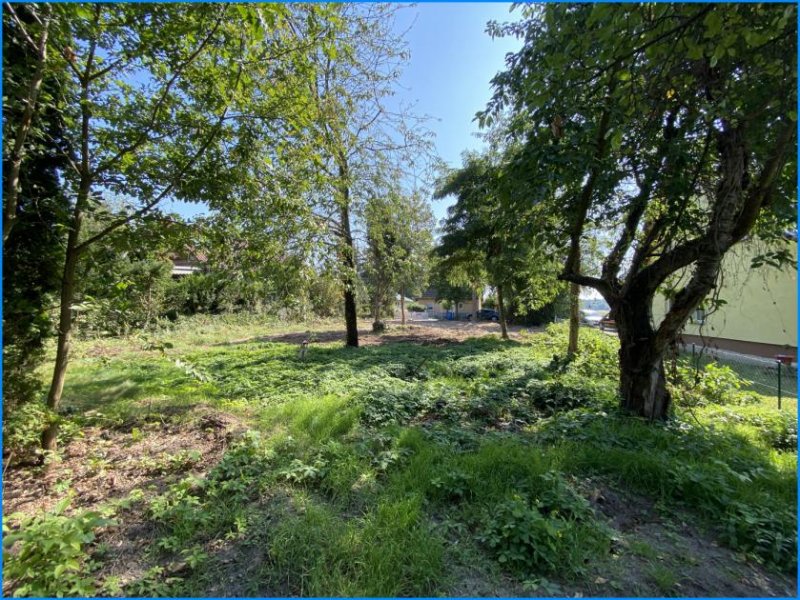 Zeuthen MAK Immobilien: Verkauf: Grundstück in Zeuthen Miersdorf Grundstück kaufen