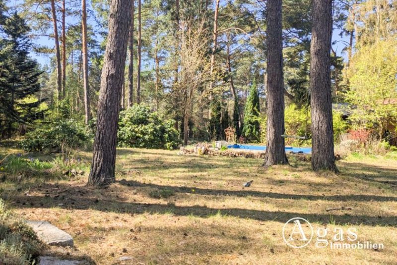Mittenwalde (Landkreis Dahme-Spreewald) Bauträgerfreies Eckgrundstück in Töpchin - für Ihren Traum vom Eigenheim! Grundstück kaufen