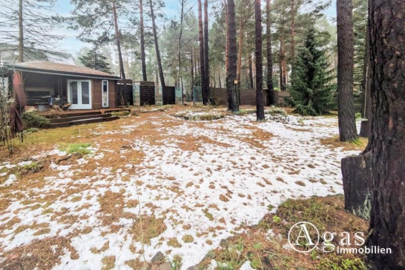 Mittenwalde (Landkreis Dahme-Spreewald) Bauträgerfreies Grundstück mit Freizeitbungalow in Töpchin - für Ihren Traum vom Eigenheim! Grundstück kaufen