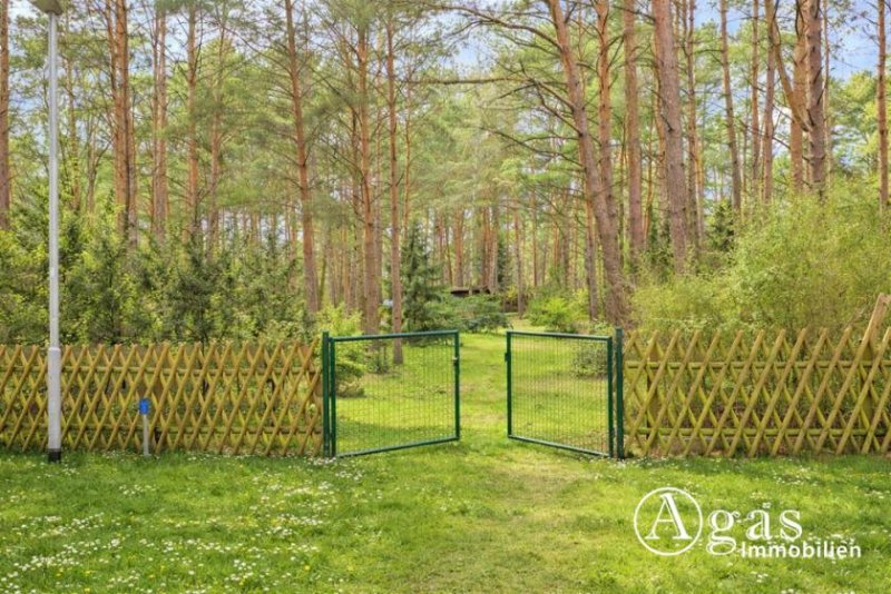 Mittenwalde (Landkreis Dahme-Spreewald) Großes bauträgerfreies Grundstück in Töpchin - ideal für Familien und Naturliebhaber Grundstück kaufen