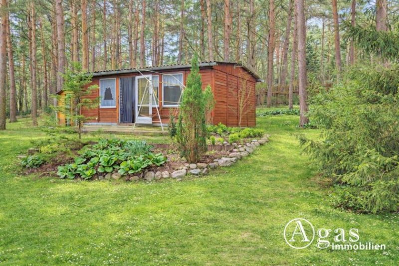 Mittenwalde (Landkreis Dahme-Spreewald) Großes bauträgerfreies Grundstück in Töpchin - ideal für Familien und Naturliebhaber Grundstück kaufen