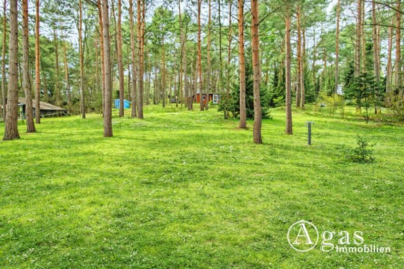 Mittenwalde (Landkreis Dahme-Spreewald) Großes bauträgerfreies Grundstück in Töpchin - ideal für Familien und Naturliebhaber Grundstück kaufen
