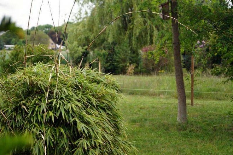 Christinendorf Grundstück in Dabendorf mit Blick auf Feld und Naturschutzgebiet Grundstück kaufen