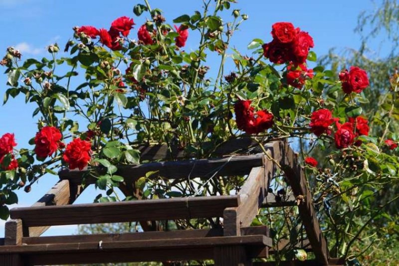 Christinendorf Grundstück in Dabendorf mit Blick auf Feld und Naturschutzgebiet Grundstück kaufen