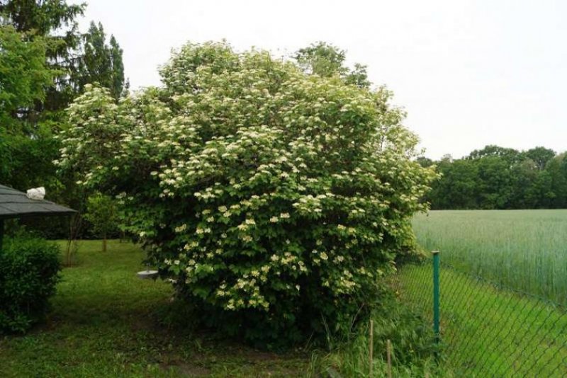 Christinendorf Grundstück in Dabendorf mit Blick auf Feld und Naturschutzgebiet Grundstück kaufen