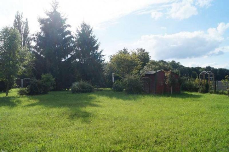 Christinendorf Grundstück in Dabendorf mit Blick auf Feld und Naturschutzgebiet Grundstück kaufen