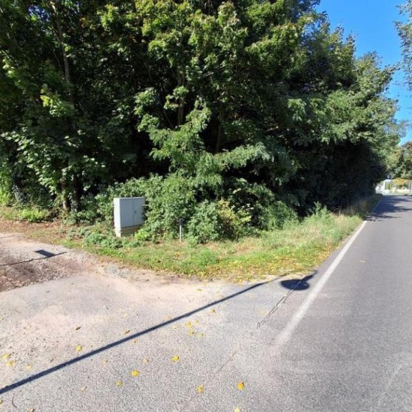 Zossen Baugrundstück in Zossen - Bauerwartungsland - Baugrundstück Grundstück kaufen
