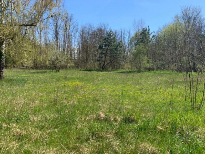 Zossen Grundstück im Mischgebiet gelgen Grundstück kaufen