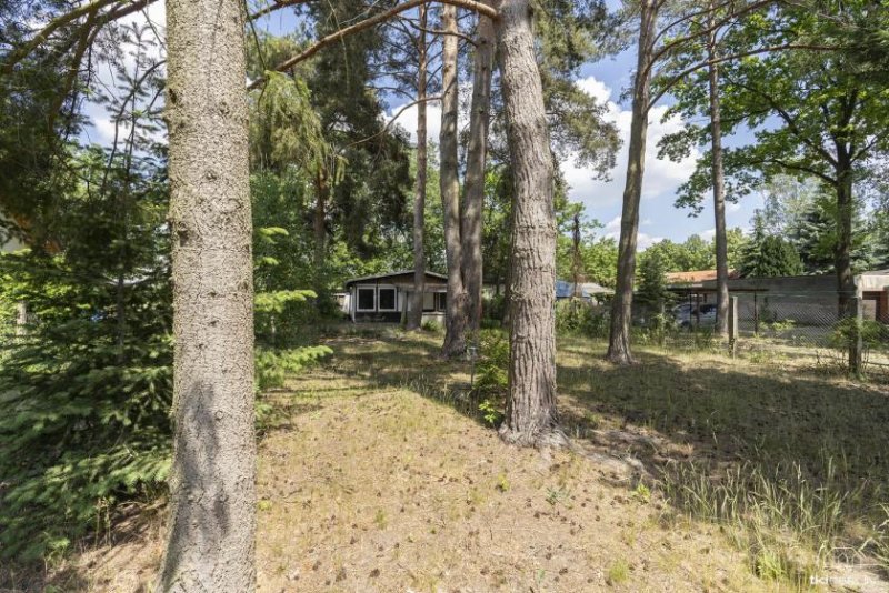 Blankenfelde 2 Baugrundstücke für Einfamilienhäuser in Blankenfelde-Mahlow Grundstück kaufen