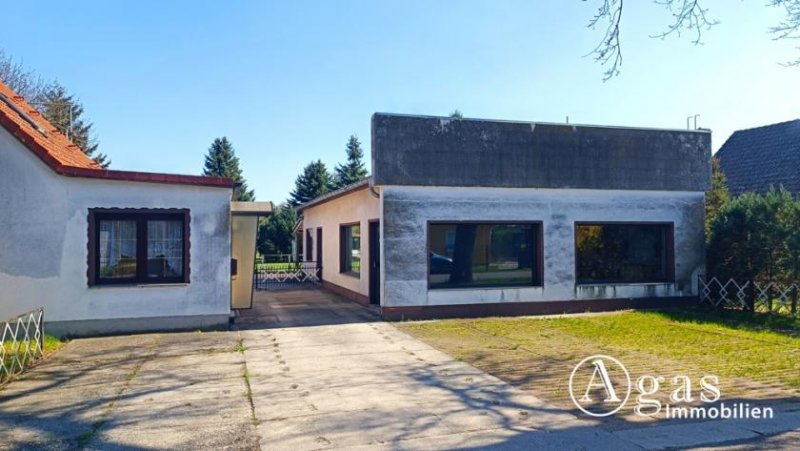 Golßen zwei vermietete Einfamilienhäuser mit Sonnen-Garten in Golßen / OT Gersdorf - mit Sanierungsbedarf Haus kaufen