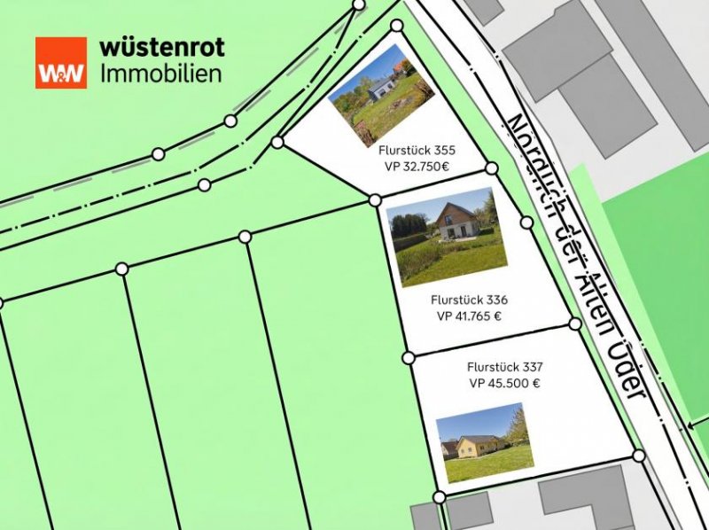 Oderberg Sonnige Hanglage in Oderberg: Erschlossene Grundstücke ab 377 m² – Naturnah, bebaubar, bauträgerfrei Grundstück kaufen