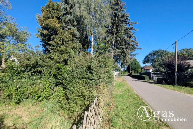 Bernau bei Berlin Bauträgerfreies Grundstück mit Freizeitbungalow und Nebengebäude in Bernau - Endlich zu Hause! Grundstück kaufen