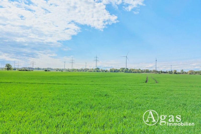 Wandlitz Perfekt für Ihren Traum vom Eigenheim: Bauträgerfreies, großes Grundstück in Wandlitz / Schönerlinde Grundstück kaufen