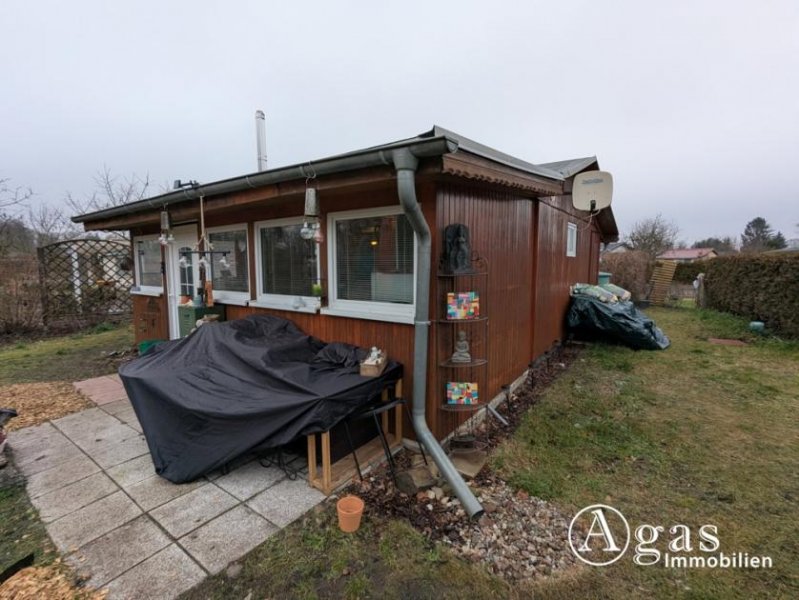 Oranienburg Charmanter Pachtgarten mit Bungalow und Pool in Oranienburg (kein Verein) Haus kaufen