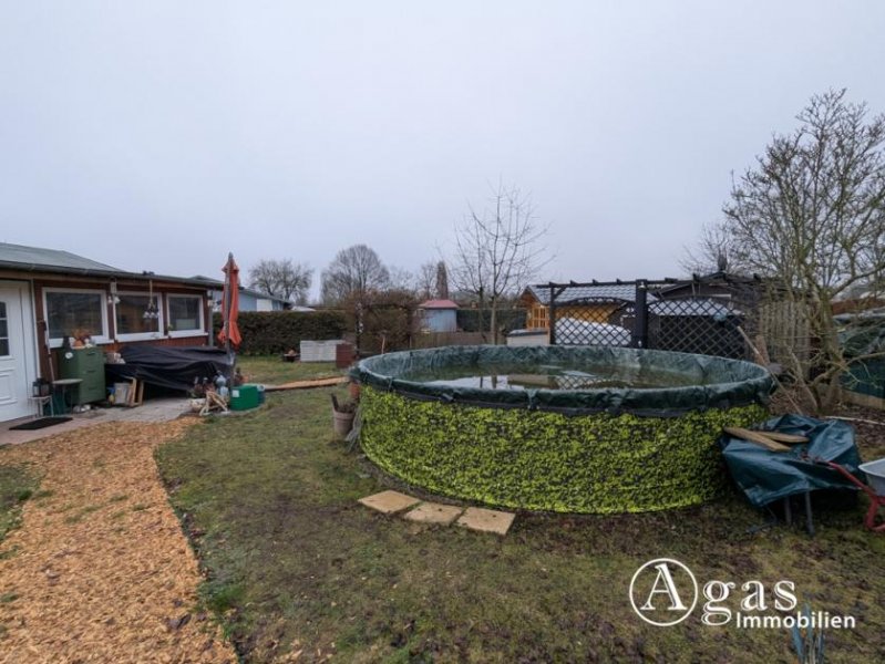 Oranienburg Charmanter Pachtgarten mit Bungalow und Pool in Oranienburg (kein Verein) Haus kaufen