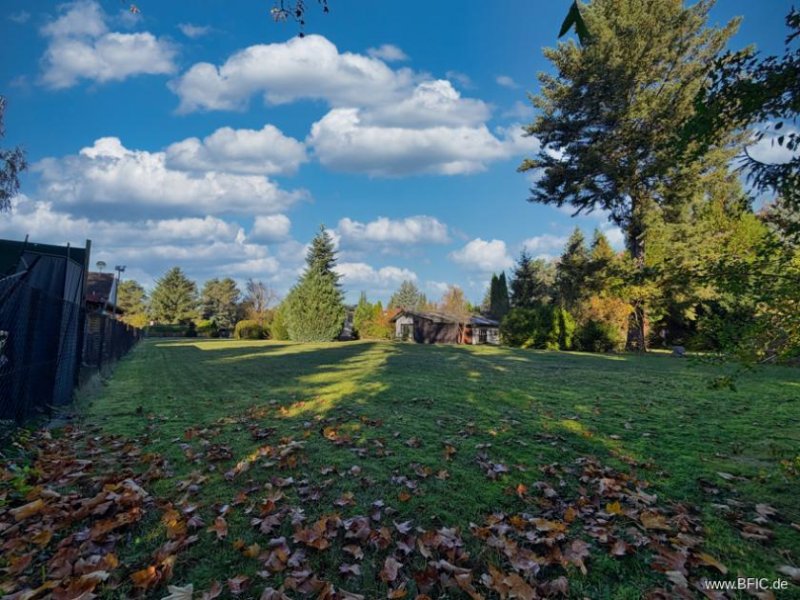 Zühlsdorf großes Baugrundstück in Zühlsdorf bei Oranienburg Grundstück kaufen