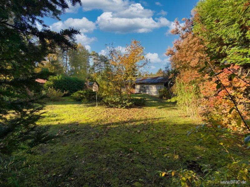 Zühlsdorf großes Baugrundstück in Zühlsdorf bei Oranienburg Grundstück kaufen